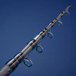 CANNE AU POSE SEACOAST LIGHT 500 350 MULTITIP TELESCOPIQUE PECHE EN MER -Pêche Séries Boutique canne au pose seacoast light 500 350 multitip telescopique peche en mer 6