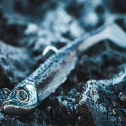 COMBO Leurres Souples Shad Texan ANCHO 120 50g Dos Noir/dos Blanc Pêche En Mer -Pêche Séries Boutique combo leurres souples shad texan ancho 120 50g dos noirdos blanc peche en mer 3