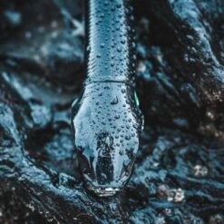 COMBO Leurres Souples Shad Texan ANCHO 120 50g Dos Noir/dos Blanc Pêche En Mer -Pêche Séries Boutique combo leurres souples shad texan ancho 120 50g dos noirdos blanc peche en mer 4