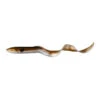 No Brand LEURRES SOUPLES EAU DOUCE REAL EEL 20CM 27G OLIVE X2 -Pêche Séries Boutique leurres souples eau douce real eel 20cm 27g olive x2