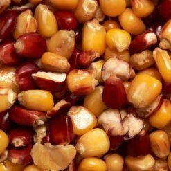 Maïs Cuit Jaune Et Rouge 1kg Graines Pêche De La Carpe -Pêche Séries Boutique mais cuit jaune et rouge 1kg graines peche de la carpe 1