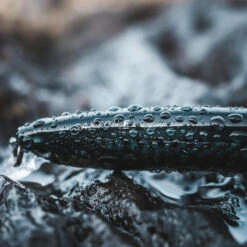 Poisson Nageur SAXTON 110F Mack Vert Pêche Au Leurre En Mer -Pêche Séries Boutique poisson nageur saxton 110f mack vert peche au leurre en mer 7